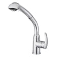 Chrome Single Hole Pull-Out Kitchen Faucet W6960