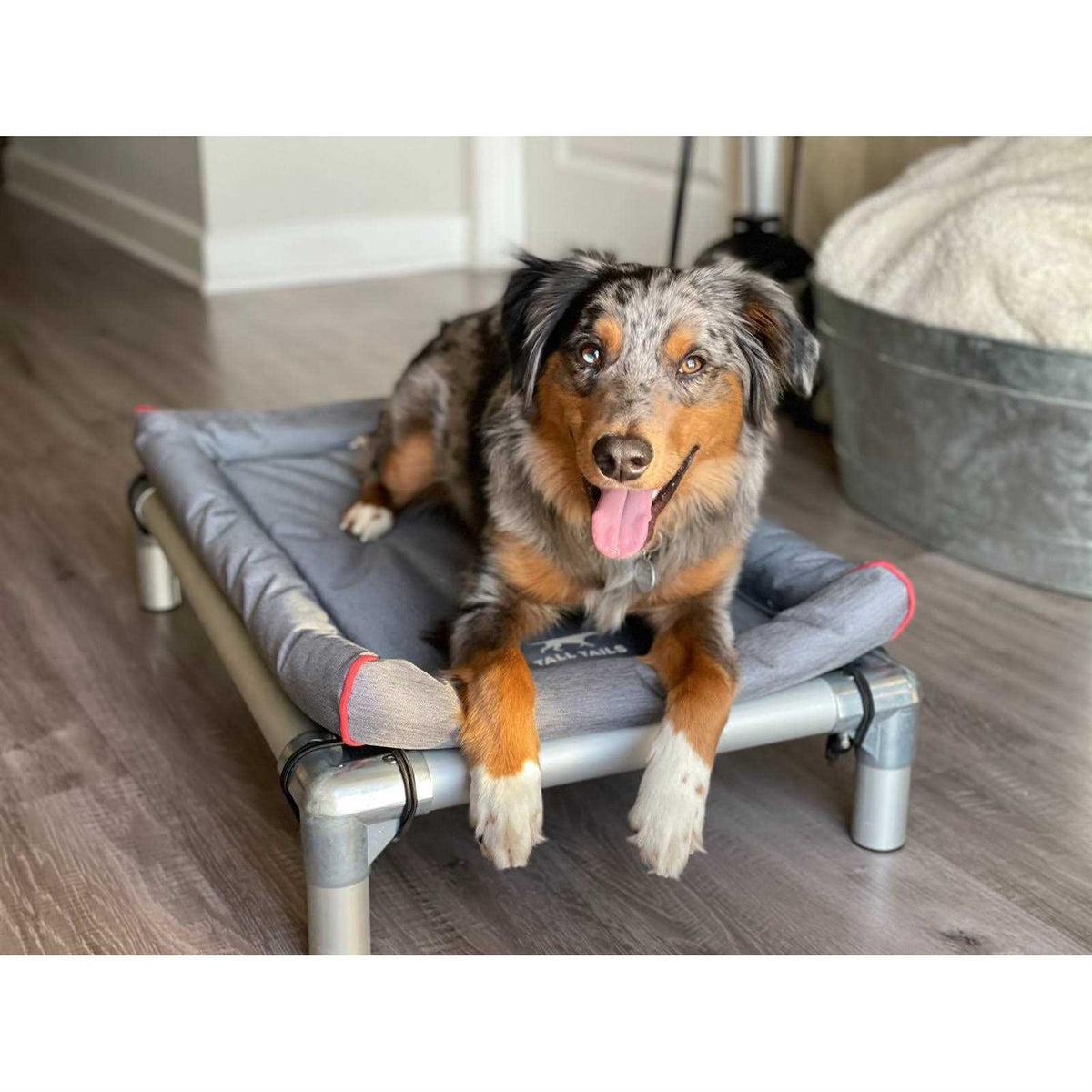 Dog Bed K281