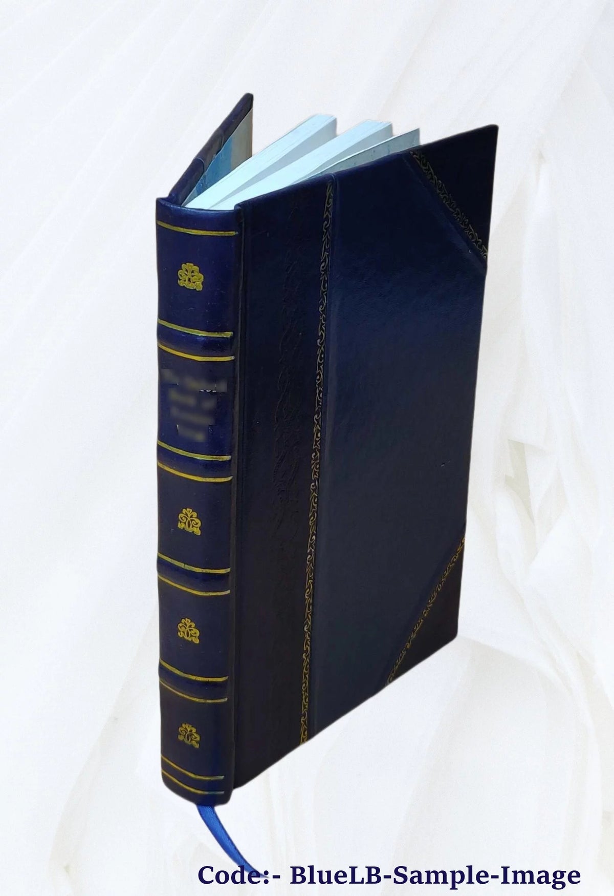 Leather Bound Book I66552
