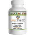Dog Cough Remedy Z6686