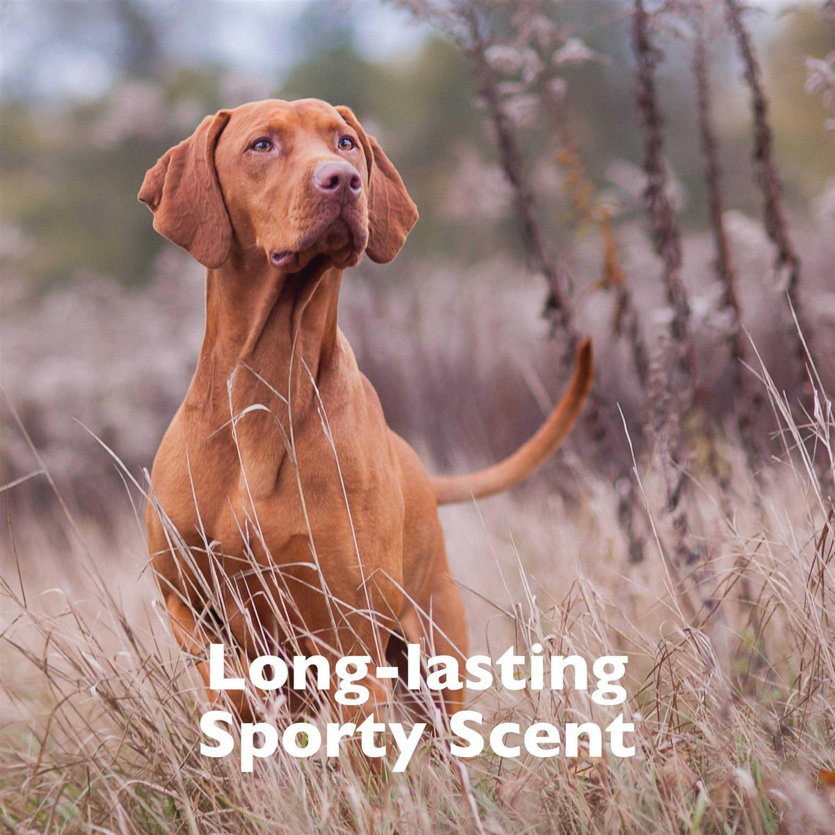 Pet Cologne S276729
