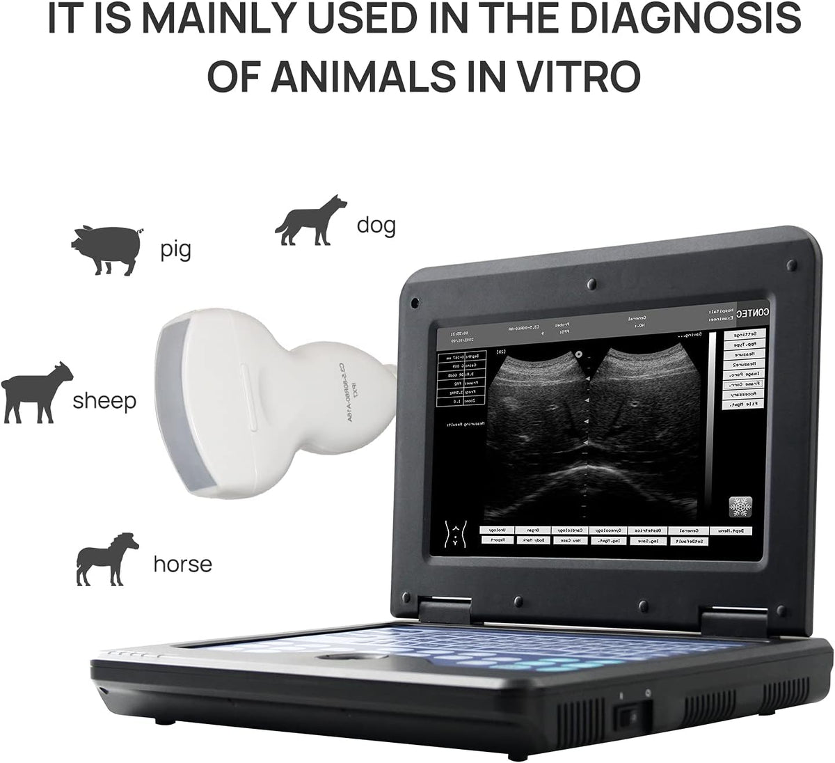 Veterinary Ultrasound Scanner with Convex & Rectal Linear Probe C947
