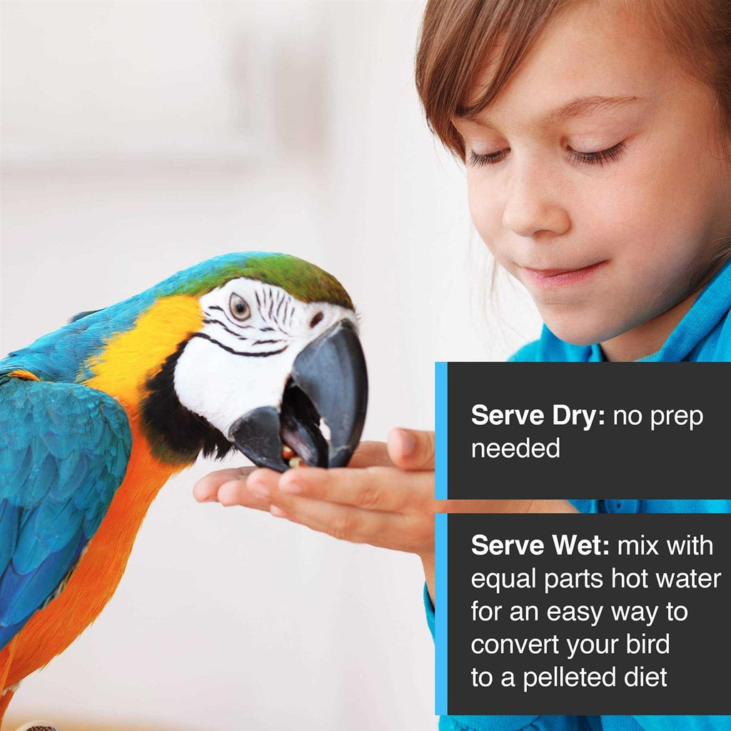 Enrichment Food for Small Parrots O7320