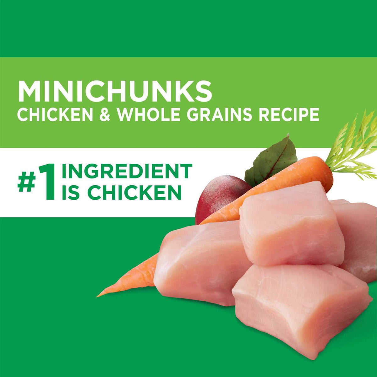 Adult Minichunks Chicken Dry Dog Food R302084