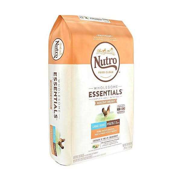 Large Breed Adult Chicken Dry Dog Food A79555
