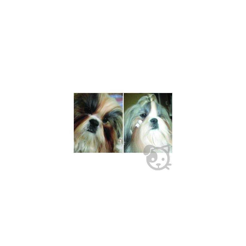 All Natural Beard Stain Remover for Dogs & Cats K120811