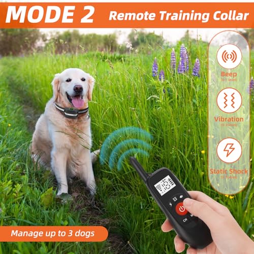 2-in-1 GPS Wireless Dog Fence & Remote Training Collar D22909