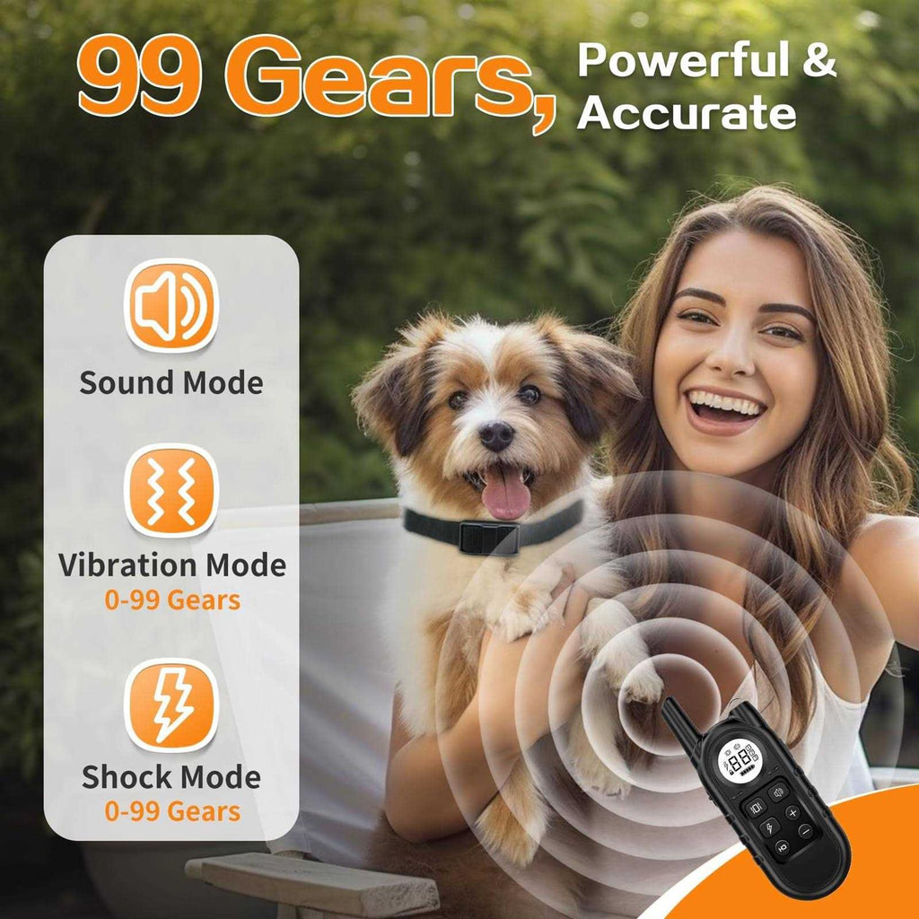 Dog Training Collar with Remote Z214