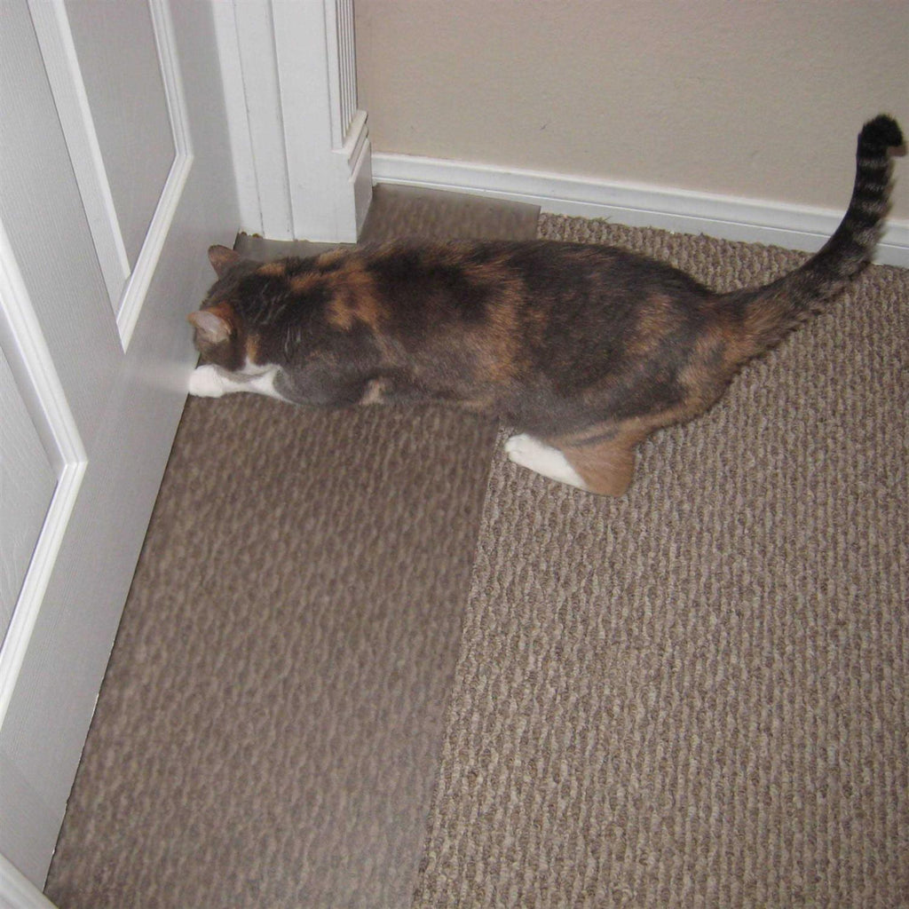 Carpet Scratch Stopper F789