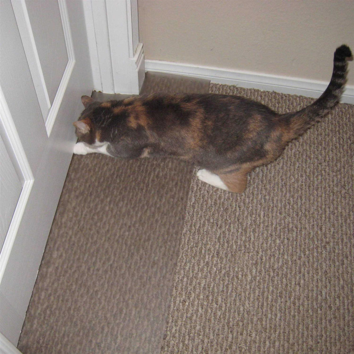 Carpet Scratch Stopper F789