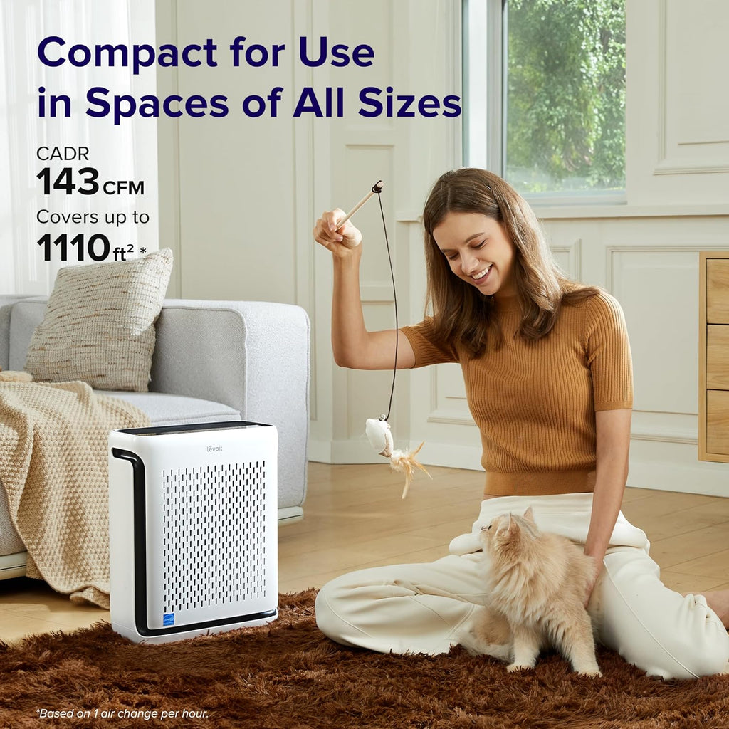 Air Purifier and Replacement Filter S643754