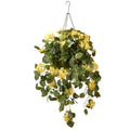 14 in. Bougainvillea Plant Hanging Basket G29324