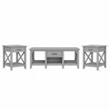 Coffee Table with End Tables O1956