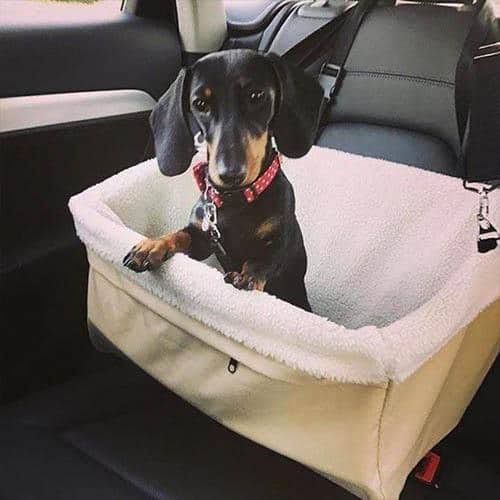 Car Safety Seat P234825