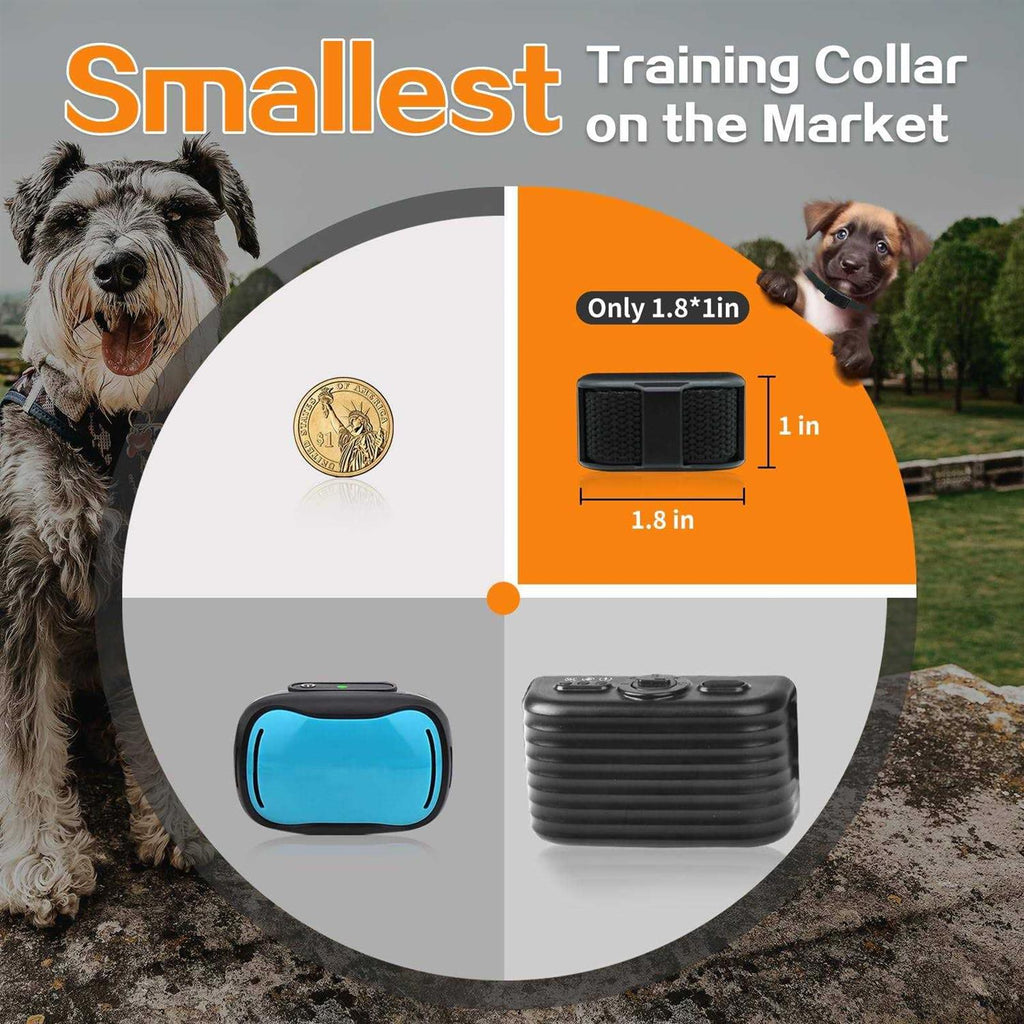 Dog Training Collar with Remote Z214