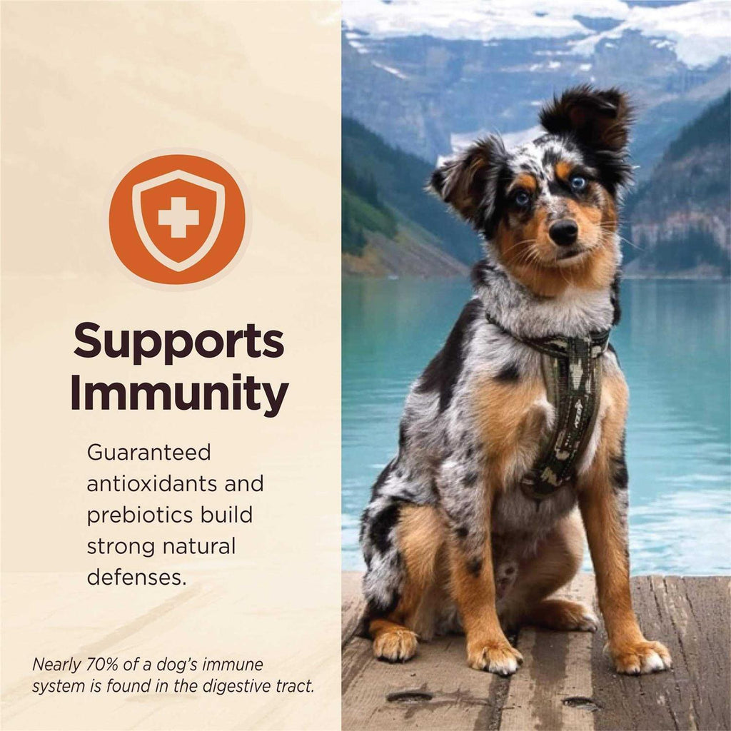 Grain Free Beef Wet Dog Food P8707