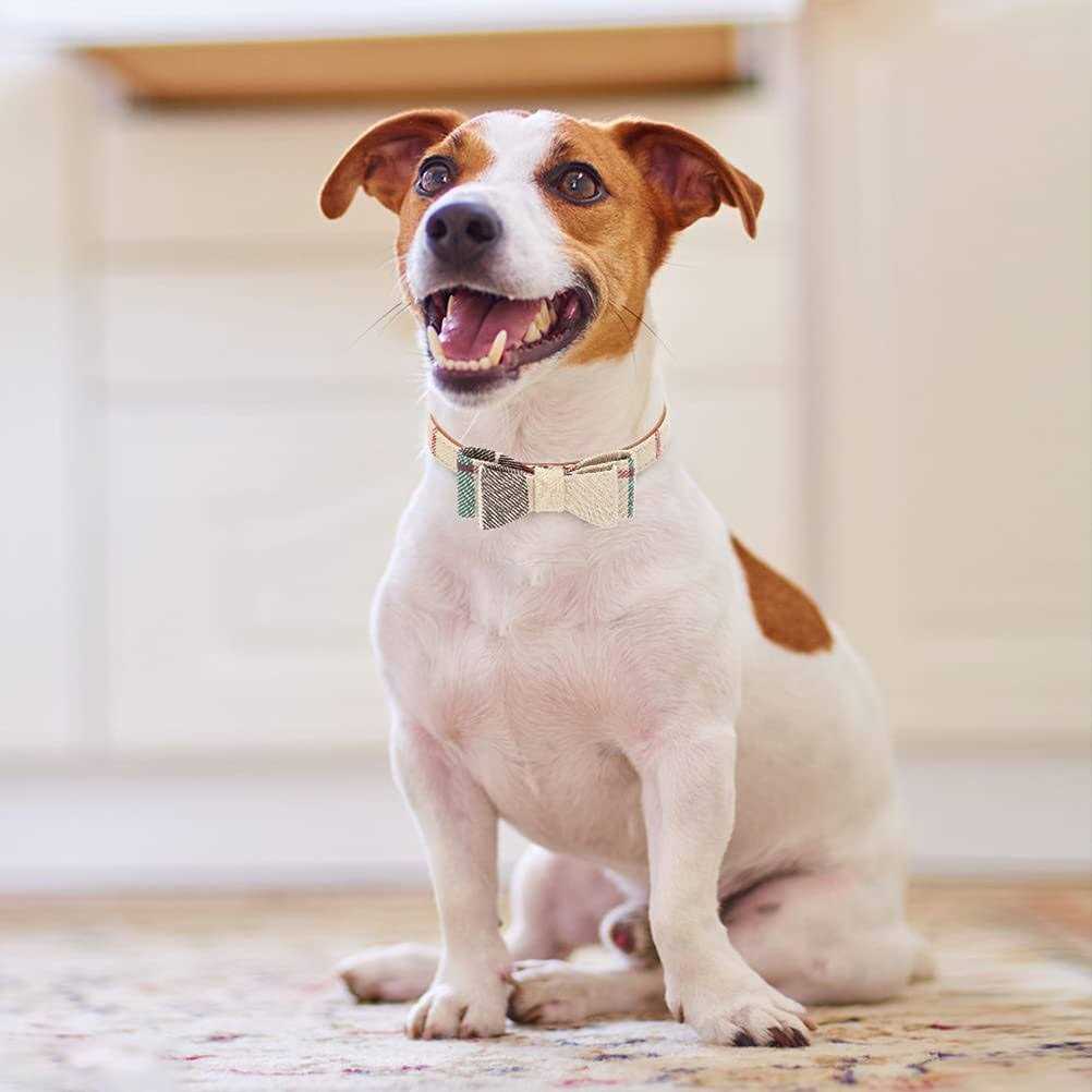 Bow Tie Dog Collar and Leash Set A75586