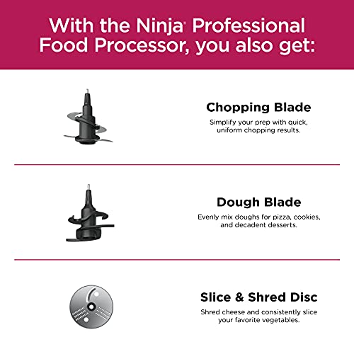 9-Cup Food Processor with Silver Stainless Finish F243