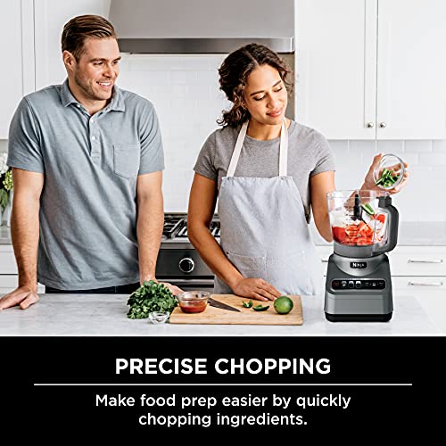 9-Cup Food Processor with Silver Stainless Finish F243