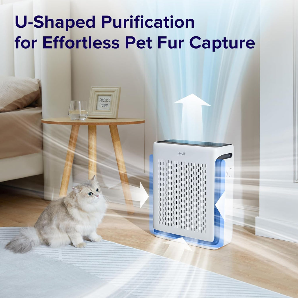 Air Purifier and Replacement Filter S643754