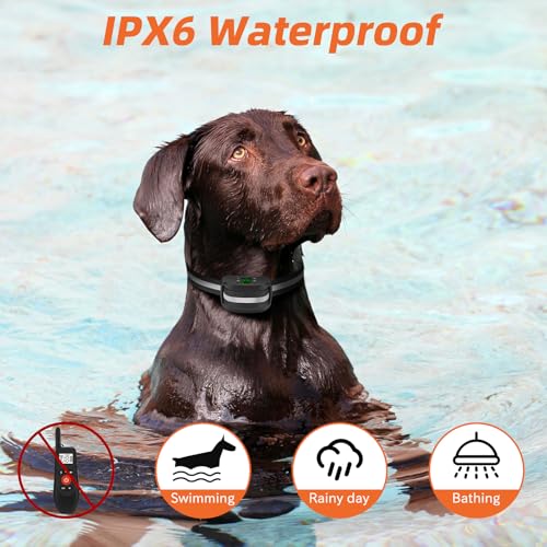 2-in-1 GPS Wireless Dog Fence & Remote Training Collar D22909