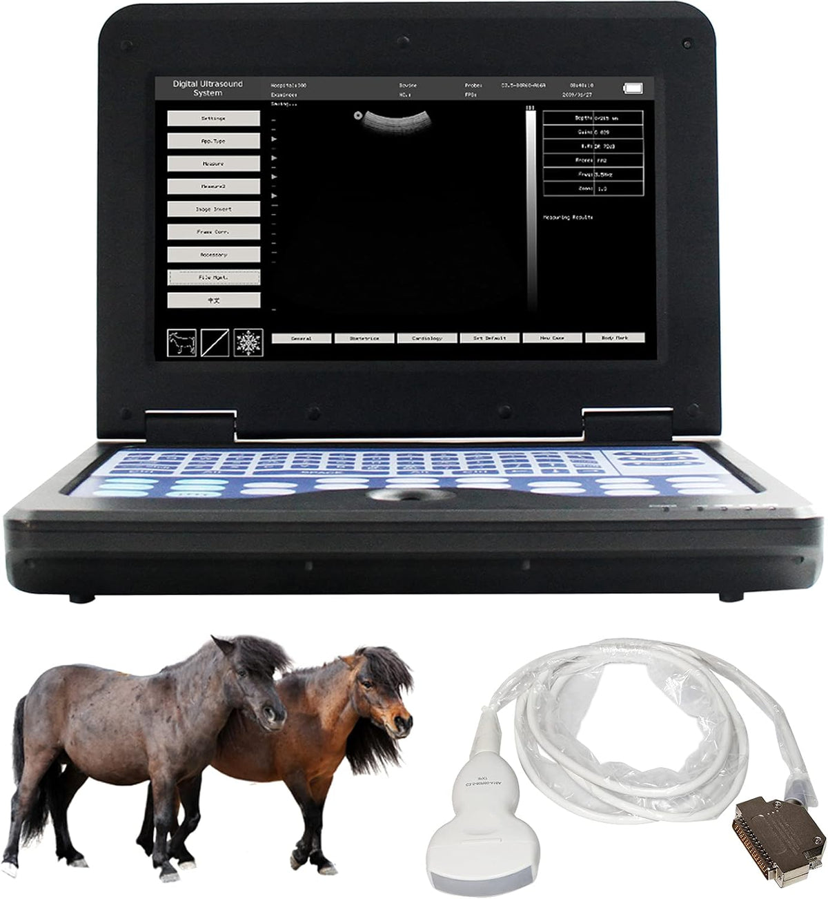 Veterinary Ultrasound Scanner with Convex & Rectal Linear Probe C947