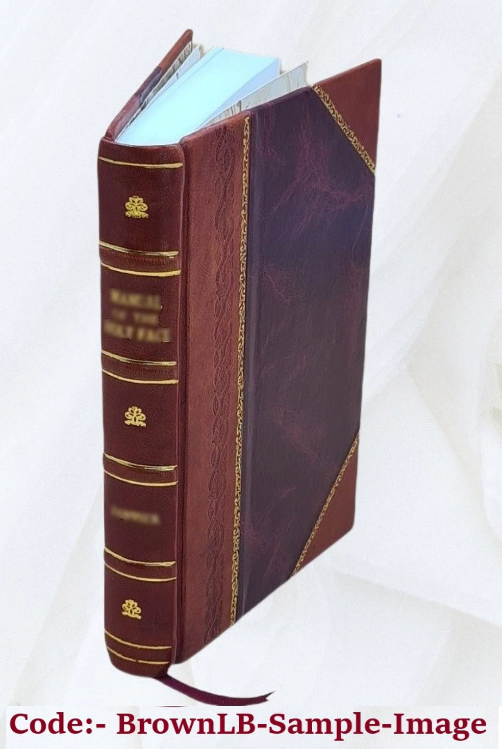 Cured and Smoked Pork Products Leather Bound B7244
