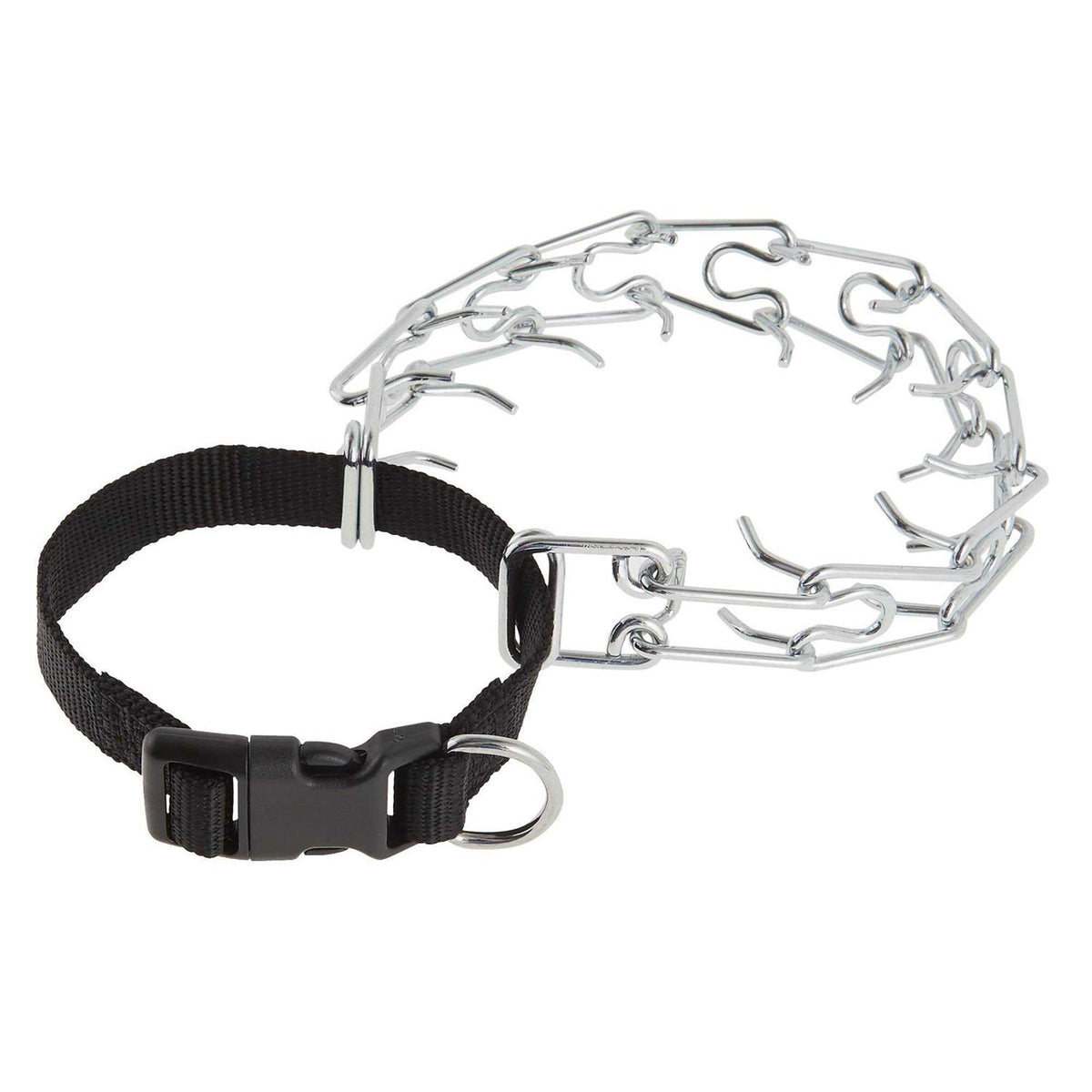 Buckle Prong Training Dog Collar T596