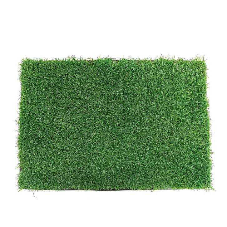 Grass with Tray Pet Supplies Z228985