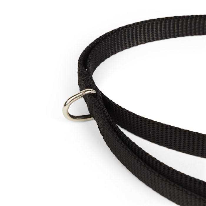 Dog Lead B547
