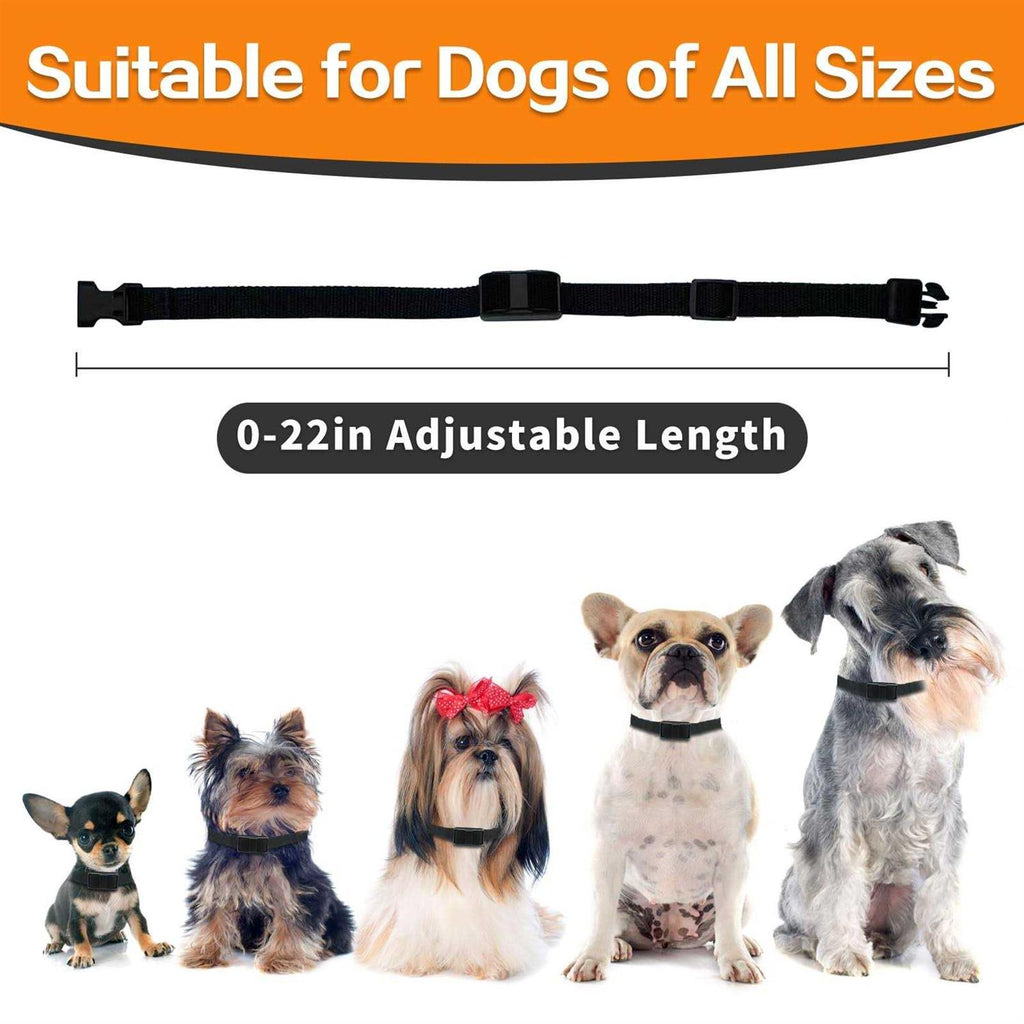 Dog Training Collar with Remote Z214