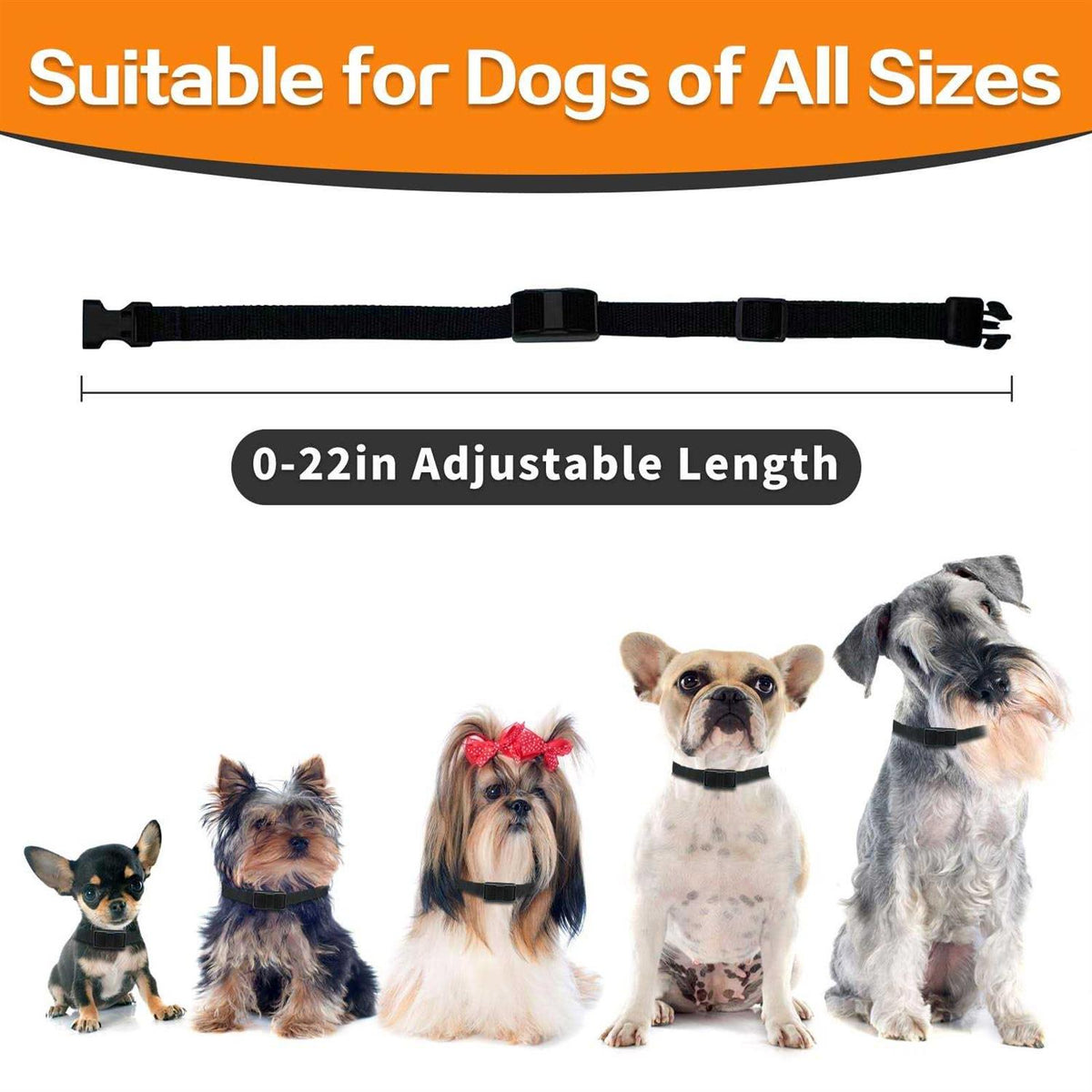 Dog Training Collar with Remote Z214