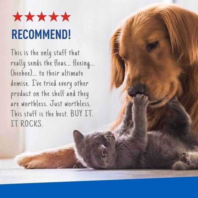 Flea Tick Spray I9621