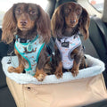 Car Safety Seat P234825