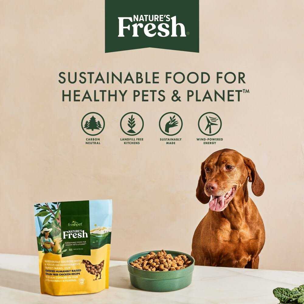 Grain Free Turkey Recipe Dog Food H130367