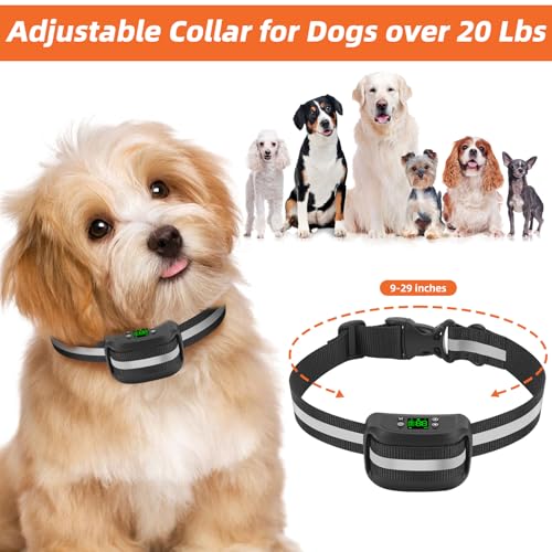 2-in-1 GPS Wireless Dog Fence & Remote Training Collar D22909