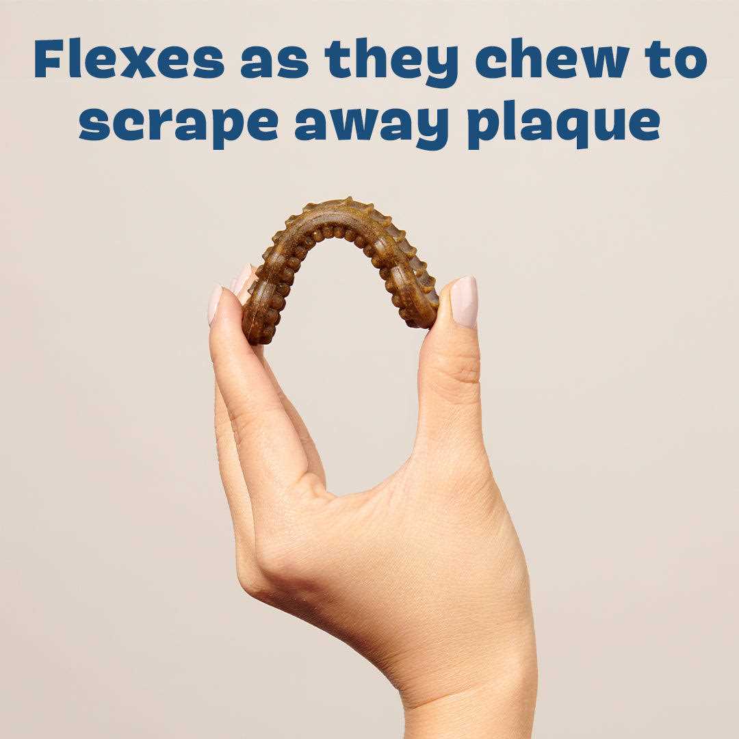 Durable Dog Dental Chews J998530