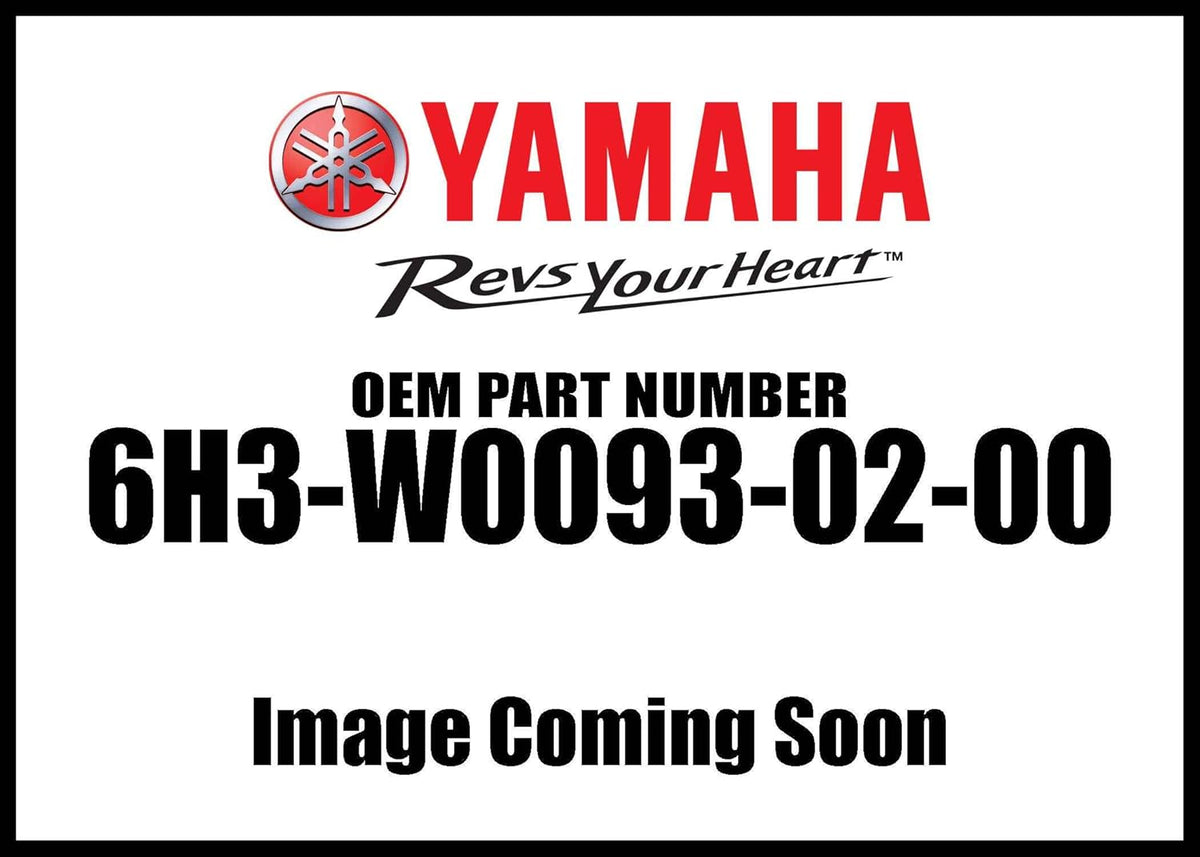 Carburetor Repair Kit N225170
