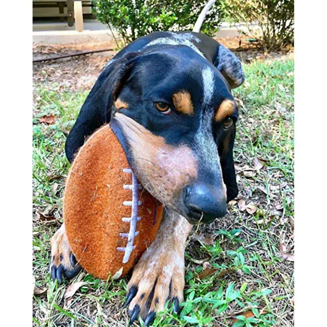 Dog Toy Z673816