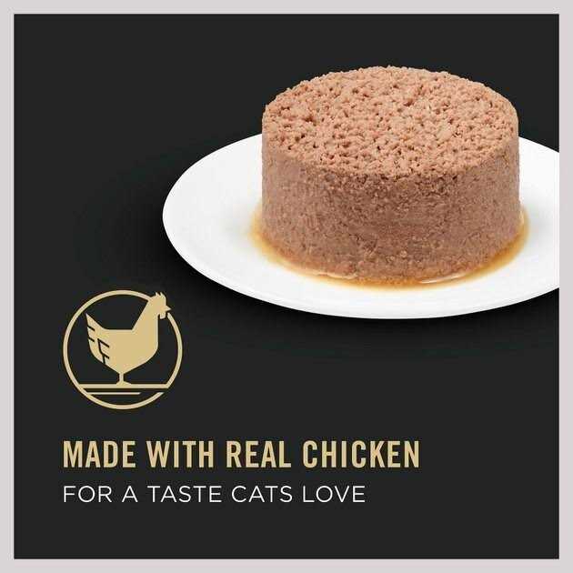 Senior Cat Food Salmon & Tuna H43085