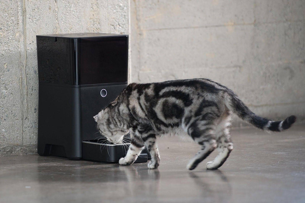 Automatic Pet Feeder X43105