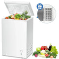 2.7 Cubic Feet White Chest Freezer I57211