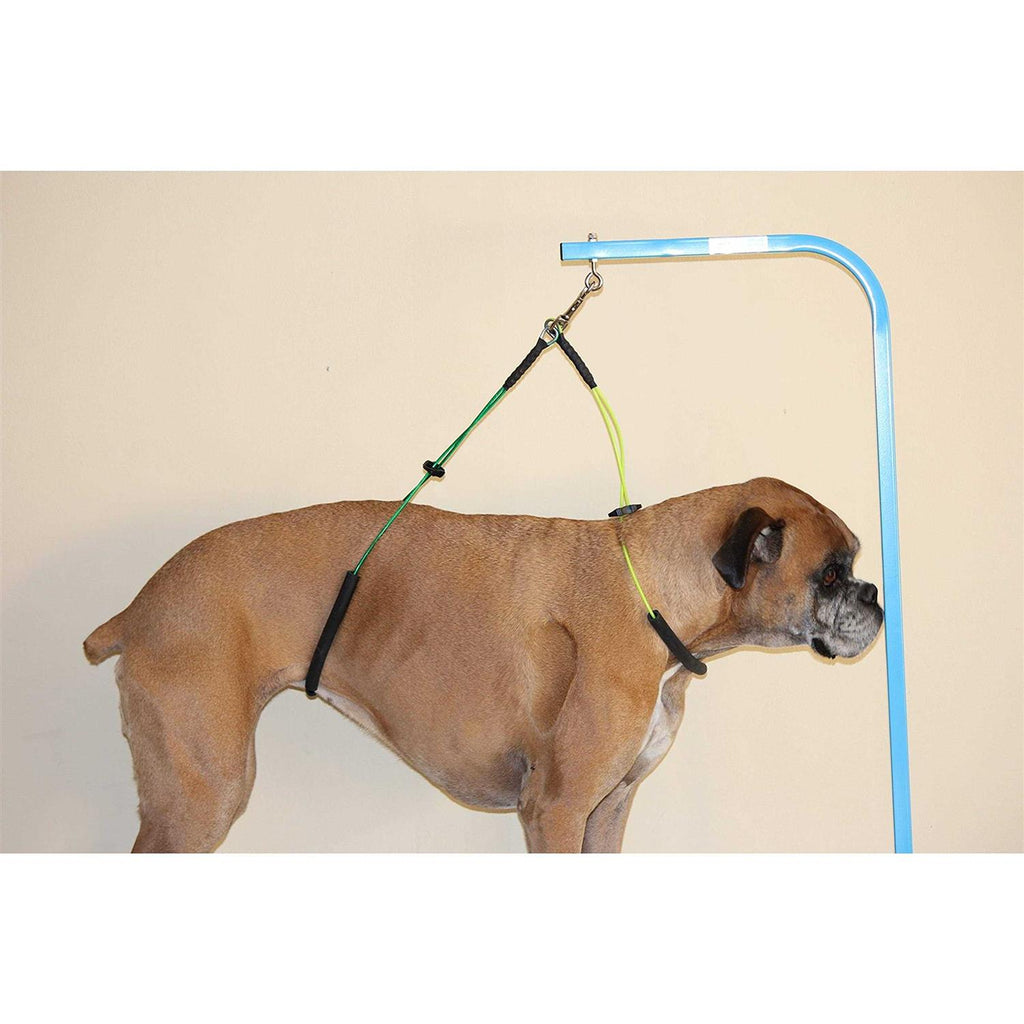 Dog Grooming Loop Restraint O4780