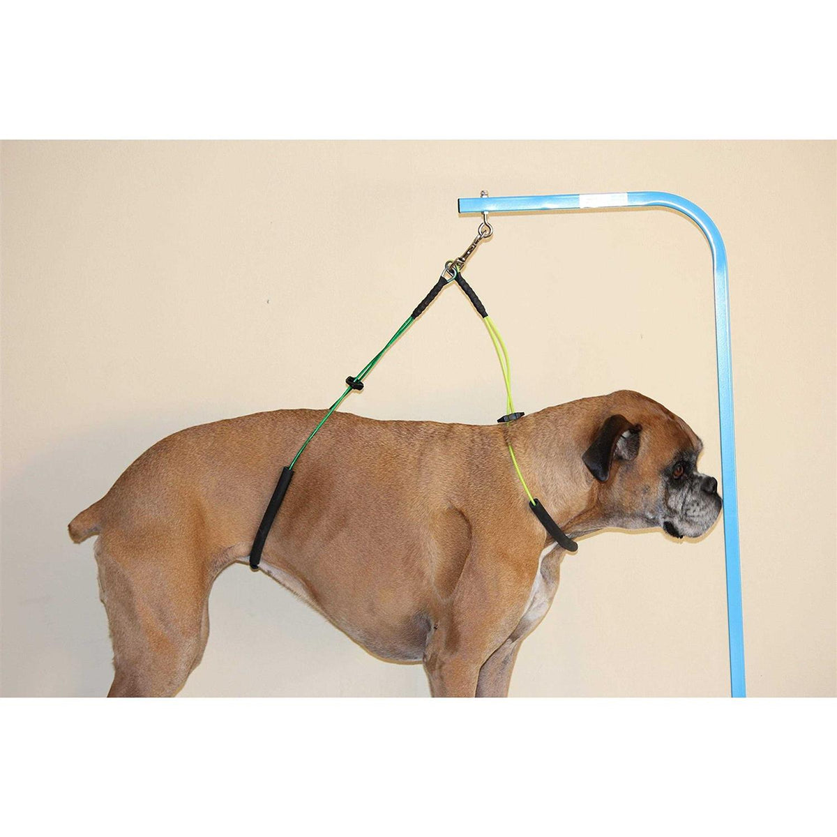 Dog Grooming Loop Restraint O4780