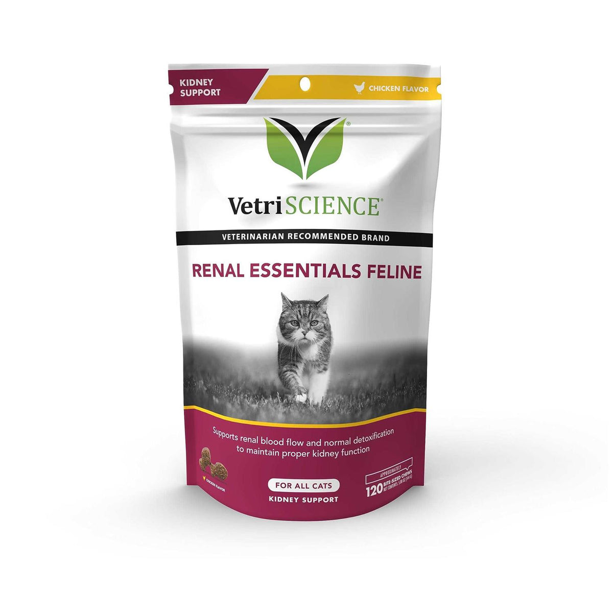 Renal Essentials Feline Z739789