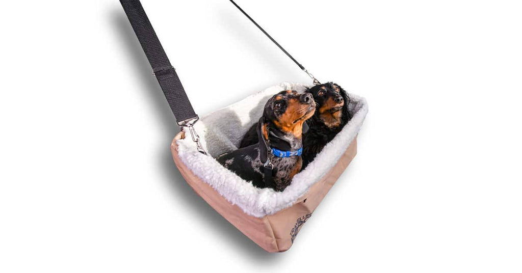 Car Safety Seat P234825