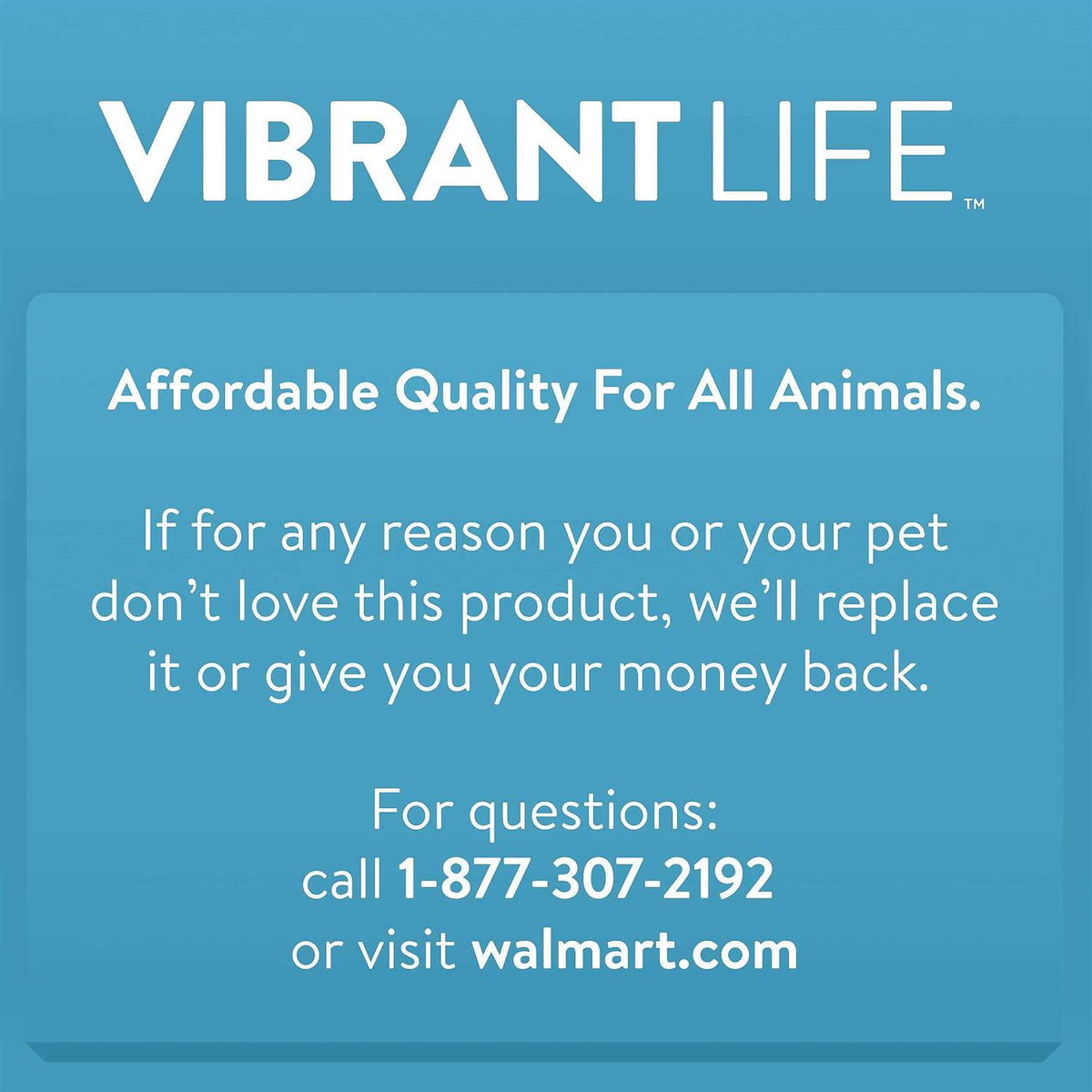 Dog Bed W23834