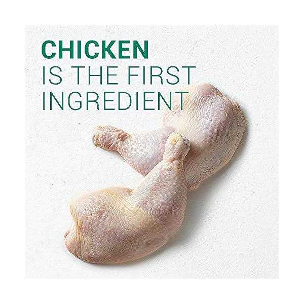 Large Breed Adult Chicken Dry Dog Food A79555