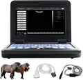Veterinary Ultrasound Scanner with Convex & Rectal Linear Probe C947