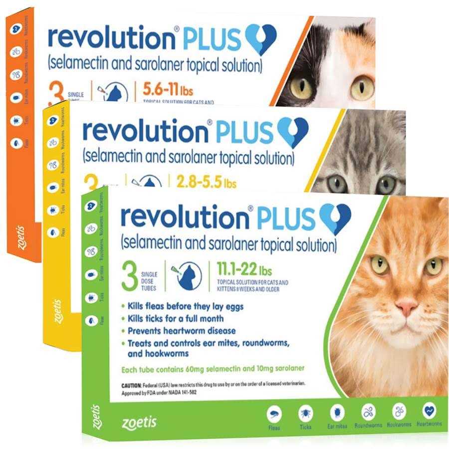 Topical Solution for Cats H831231